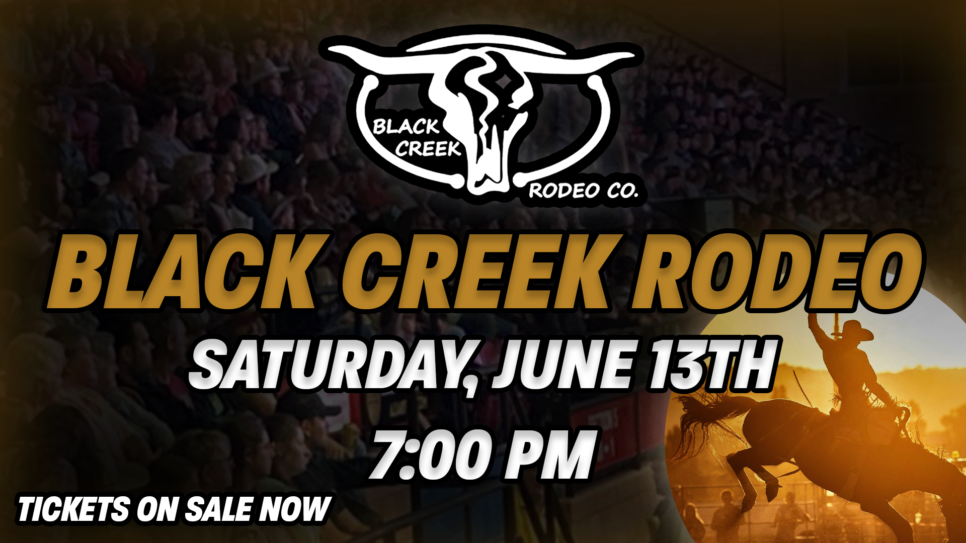 poster for black creek rodeo